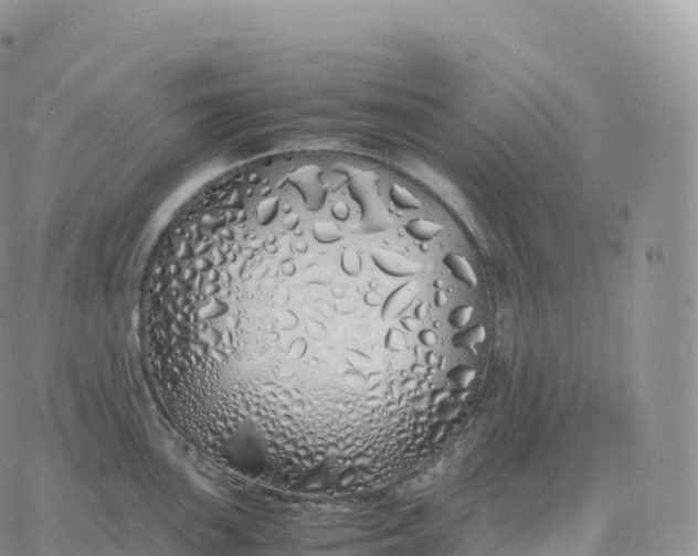 X0000060771051200511241749