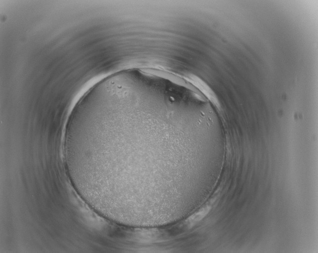 X0000060771052200511241749