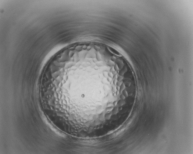 X0000060771053200511241749