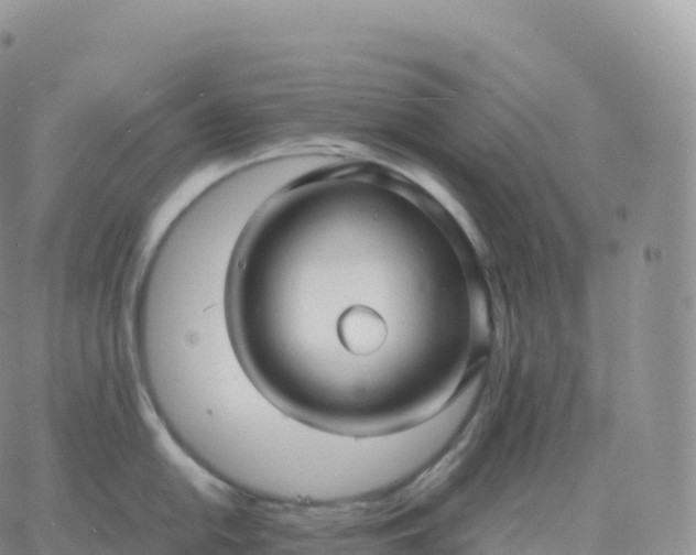 X0000060771054200511241749