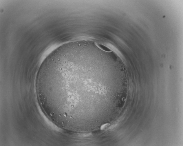 X0000060771055200511241749