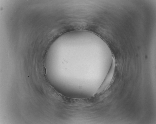 X0000060771057200511241748