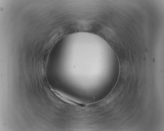 X0000060771058200511241748