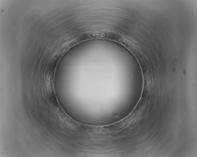 X0000060771060200511241748