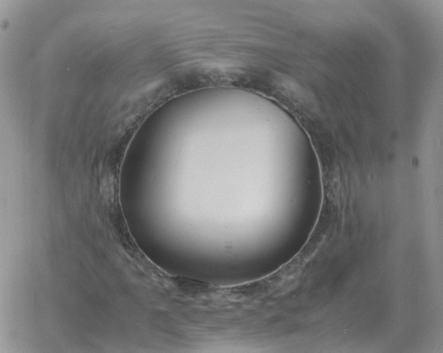 X0000060771061200511241748