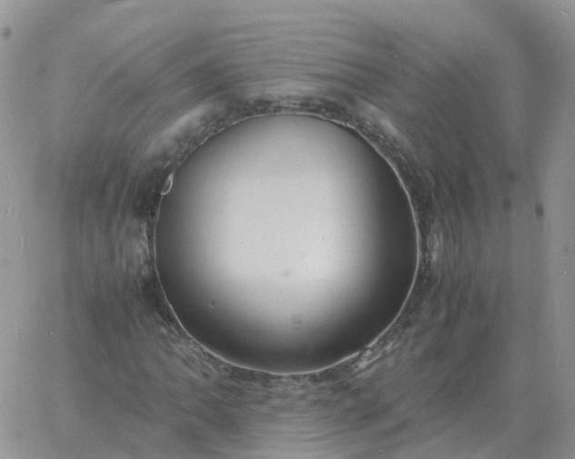 X0000060771062200511241748