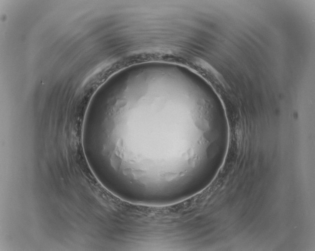 X0000060771064200511241748