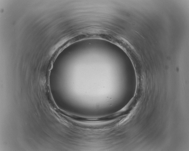 X0000060771065200511241748