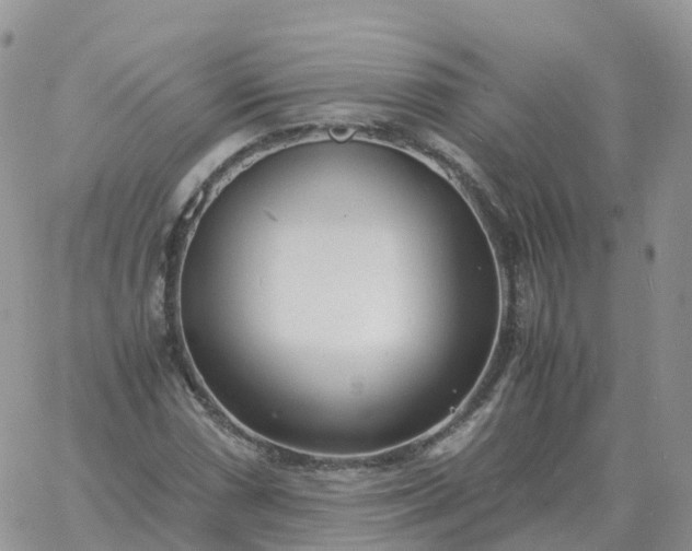 X0000060771066200511241748