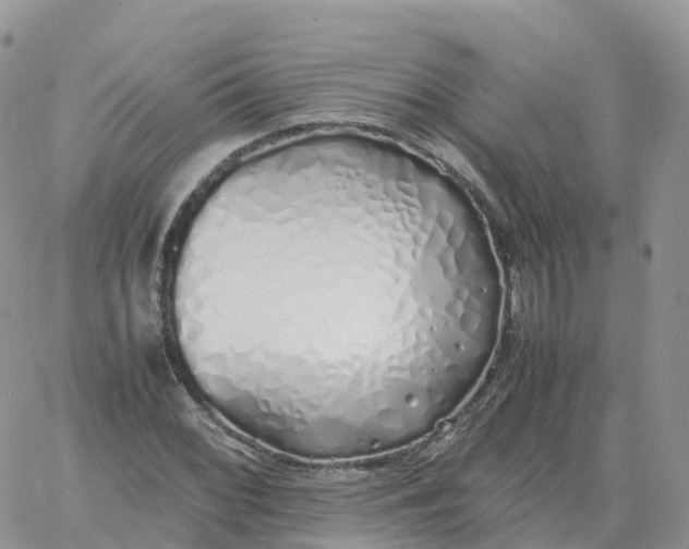 X0000060771068200511241748