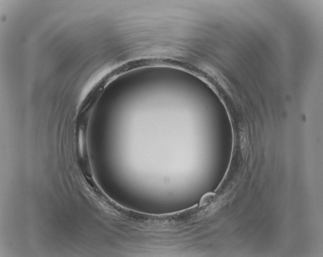 X0000060771069200511241748