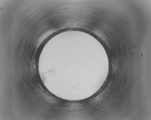 X0000060771070200511241748