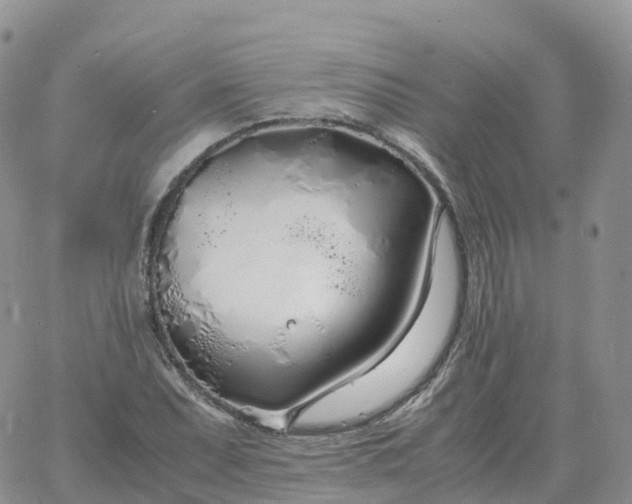 X0000060771071200511241748