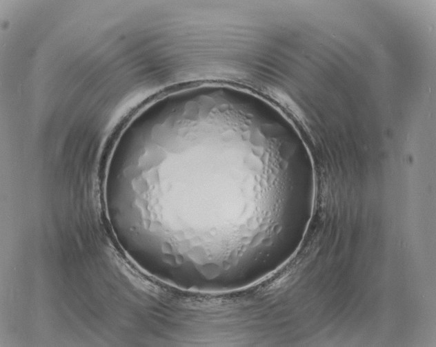 X0000060771072200511241748