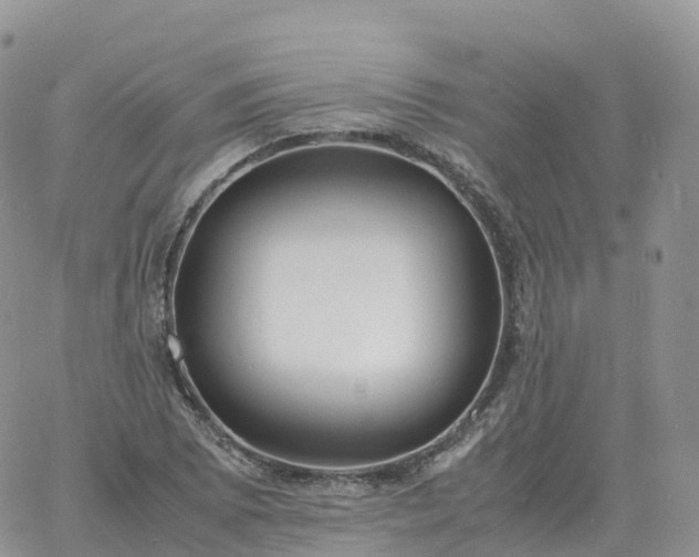 X0000060771073200511241748