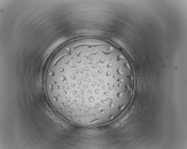 X0000060771074200511241748