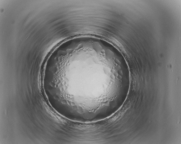 X0000060771076200511241748