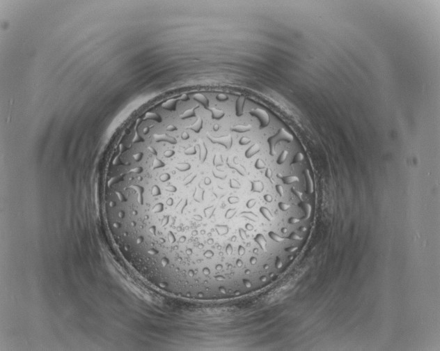 X0000060771078200511241748