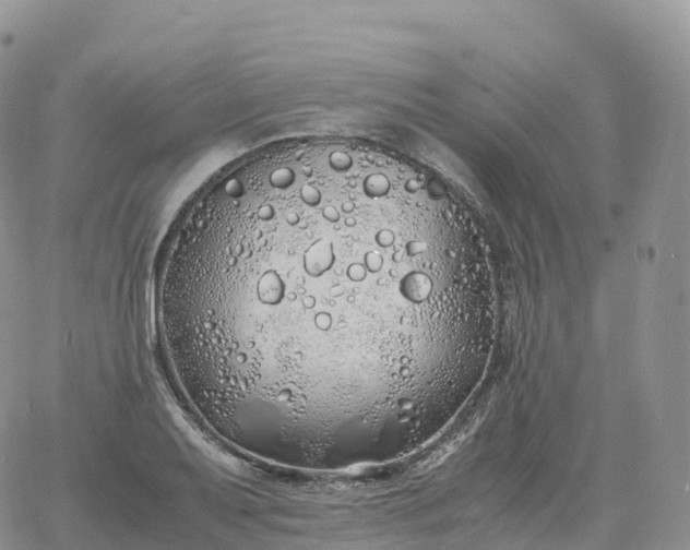 X0000060771079200511241748