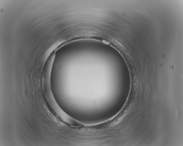 X0000060771081200511241748