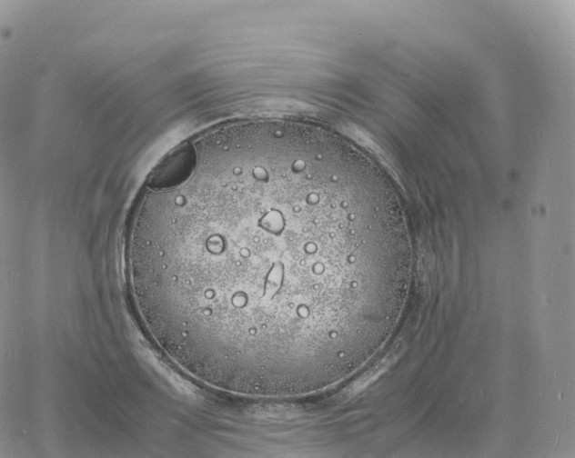 X0000060771083200511241748