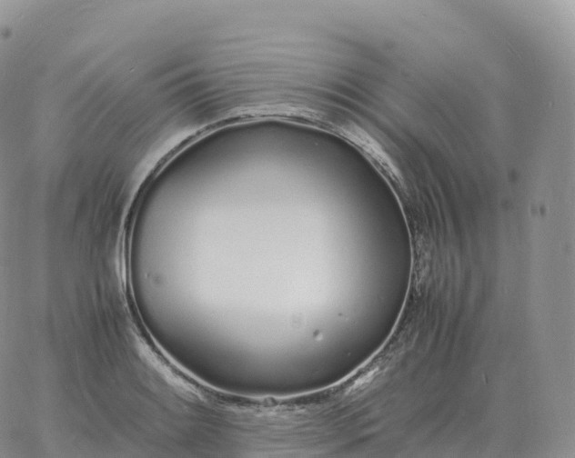 X0000060771084200511241748