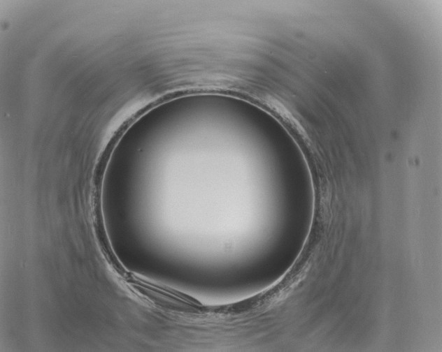 X0000060771085200511241747