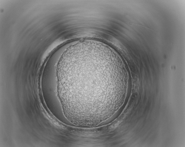 X0000060771086200511241747