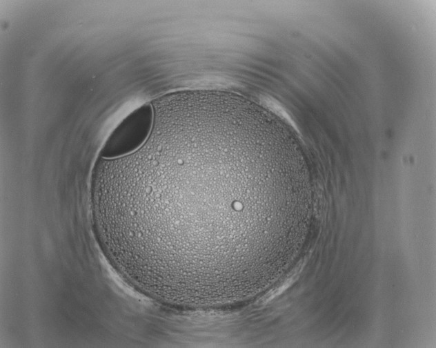 X0000060771087200511241747