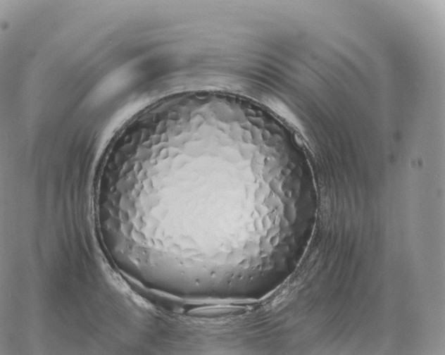 X0000060771088200511241747