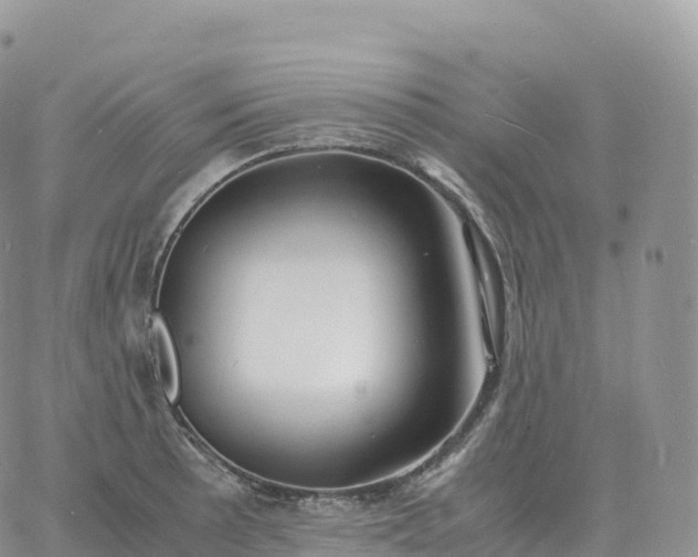 X0000060771089200511241747