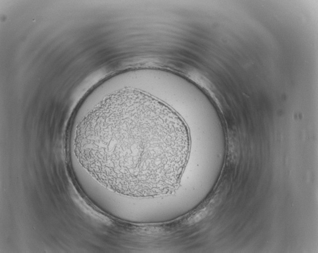 X0000060771090200511241747