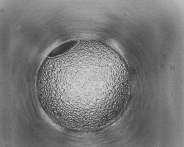 X0000060771091200511241747