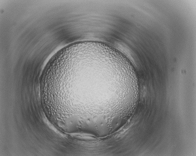 X0000060771092200511241747