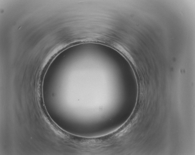 X0000060771093200511241747