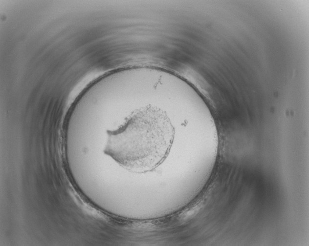 X0000060771094200511241747