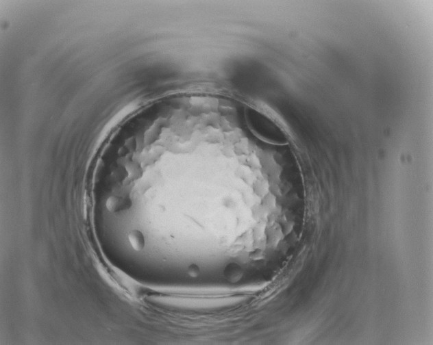 X0000060771095200511241747