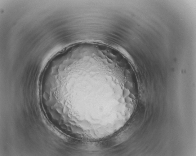 X0000060771096200511241747