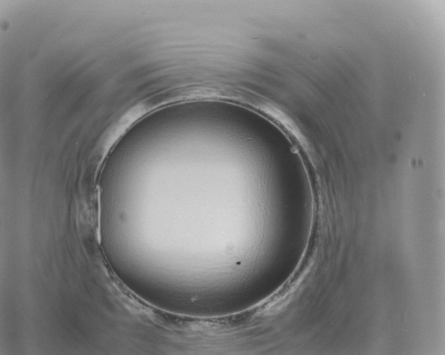 X0000060771097200511241747