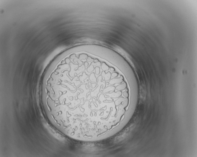 X0000060771098200511241747