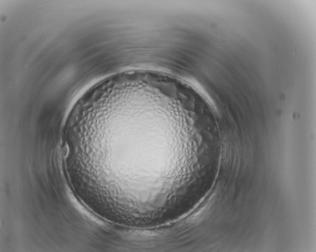 X0000060771100200511241747