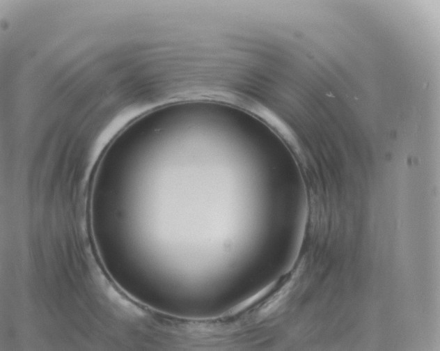 X0000060771102200511241747