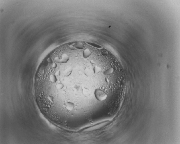 X0000060771103200511241747