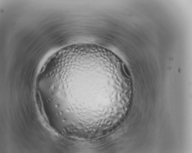 X0000060771104200511241747