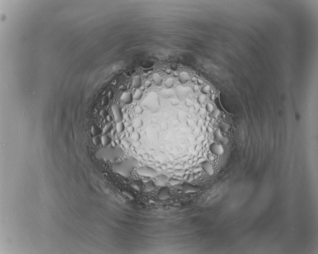 X0000060771105200511241746