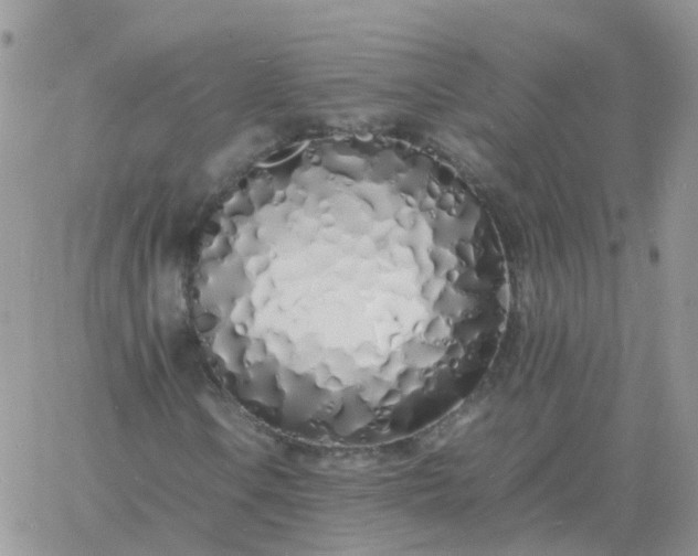 X0000060771106200511241746