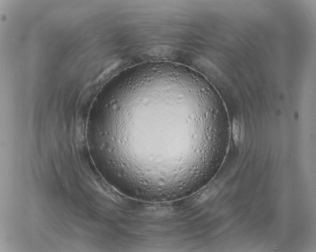 X0000060771107200511241746