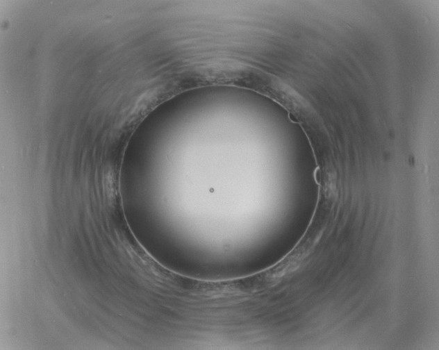 X0000060771108200511241746