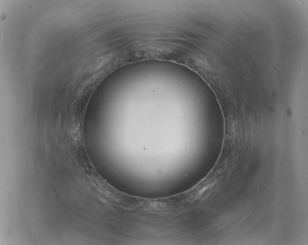 X0000060771109200511241746