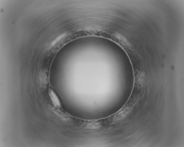 X0000060771110200511241746